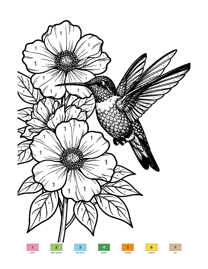 Hummingbird and Flowers color by number