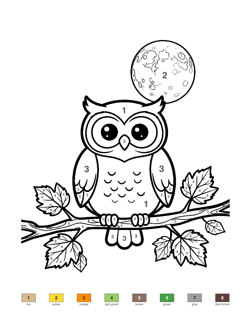 Owl on an Autumn Branch color by number