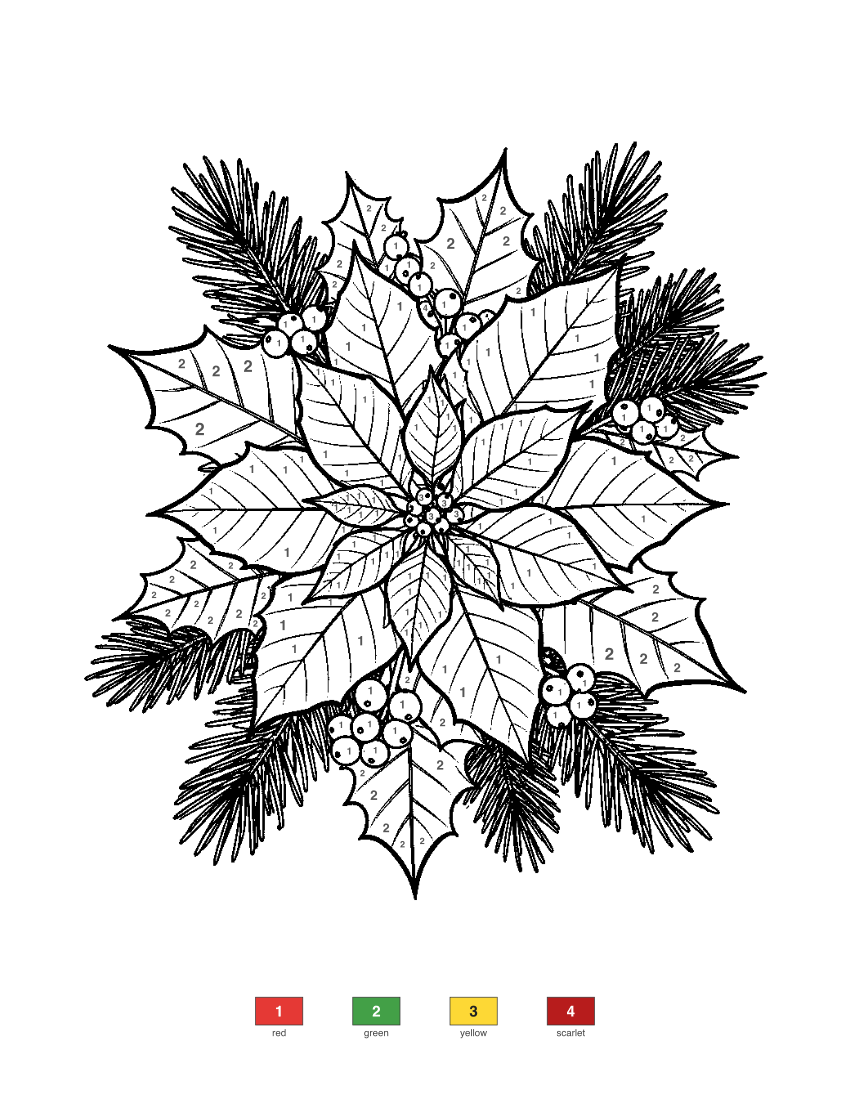 Poinsettia and Holly color by number