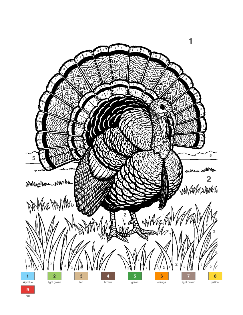 Detailed Turkey color by number