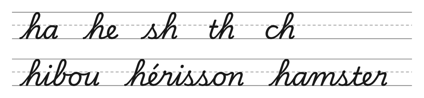 Liaisons en cursive avec le h (ha, he, sh, th, ch) et mots pour s’entraîner : hibou, hérisson, hamster