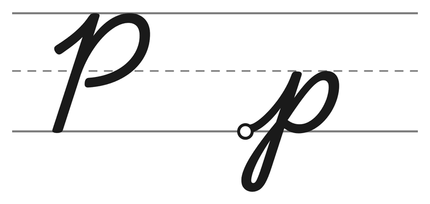 Capital cursive P and lowercase cursive p on handwriting lines
