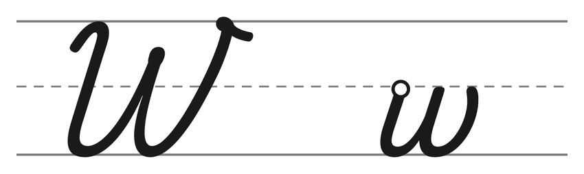 Capital cursive W and lowercase cursive w on handwriting lines